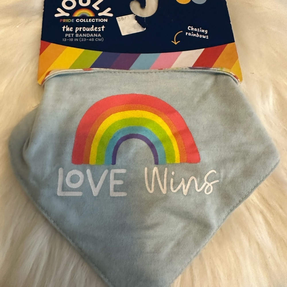 🩷5/$10 Love Wins Rainbow Pet Bandana